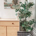 buto-nuoma-centre-maljorkoje