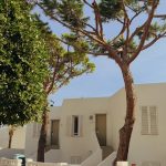 erdvus-butas-maljorka-zalia-kopa