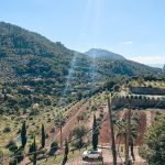 zalia-kopa-maljorkoje